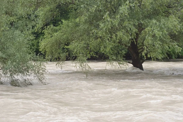 Avrupa Şiddetli Yağmurdan Sonra Nehir Sel Baskını — Stok fotoğraf