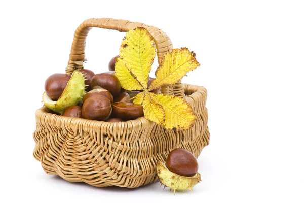 Cesto Pieno Castagne Foglie Autunnali — Foto Stock