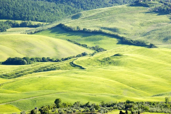Groen Typisch Toscaans Landschap Lente — Stockfoto