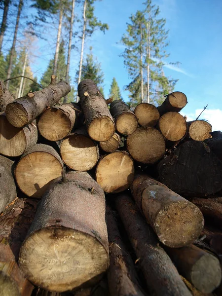 Una Pila Madera Con Fondo Cielo Azul — Foto de Stock