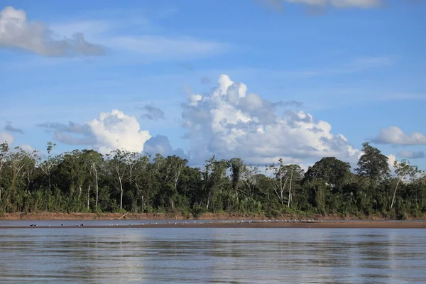 Басейні Амазонки — стокове фото