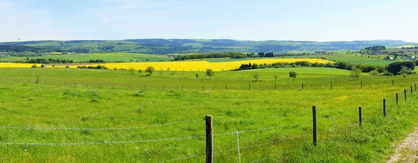 Festői Kilátás Mezőgazdaságra Vidéken — Stock Fotó