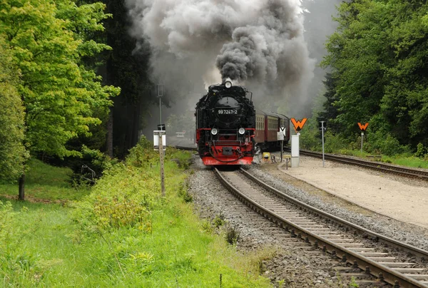 Harz Στενό Εύρος Σιδηροτροχιάς Αφήνει Σταθμό Drei Annen Hohne Προς — Φωτογραφία Αρχείου
