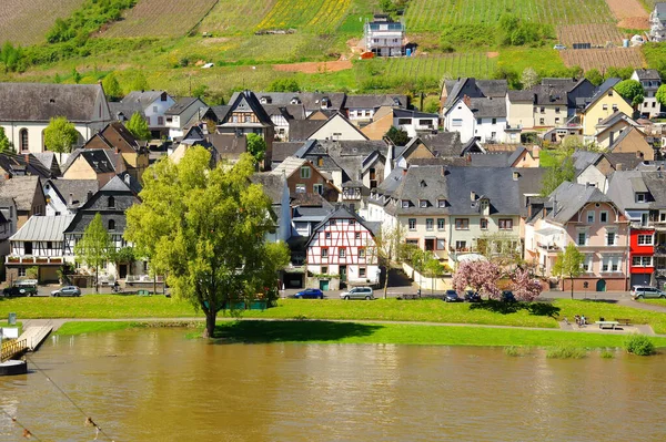 Reil Der Mosel Mit Leichtem Hochwasser — Stockfoto