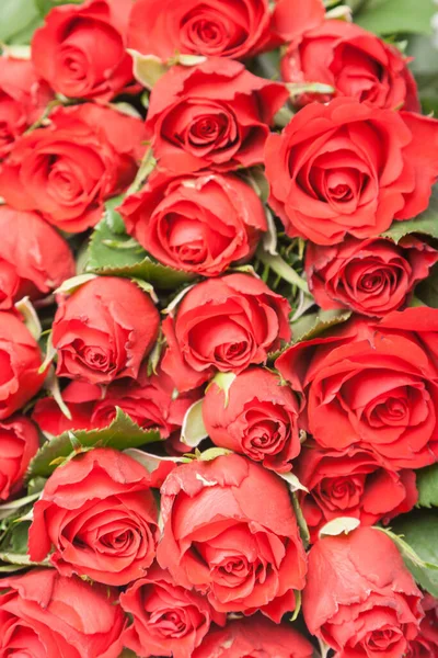 Ramo Rosas Rojas Para Fondo Romántico Mineral Regalo — Foto de Stock