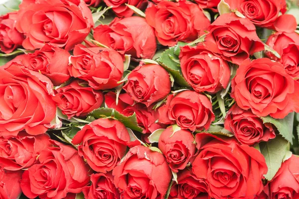 Romantik Hediye Cevheri Arka Plan Için Kırmızı Gül Buketi — Stok fotoğraf