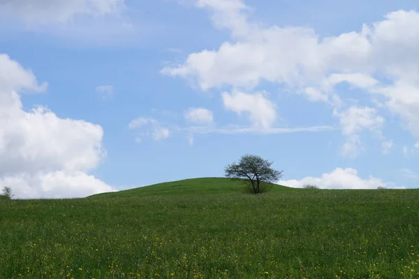 Picturesque View Countryside Scenery — Stock Photo, Image