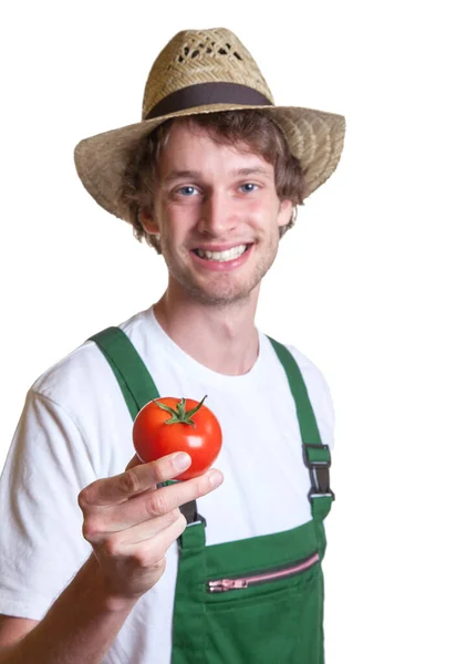 Giardiniere Amichevole Mostrando Suo Pomodoro — Foto Stock