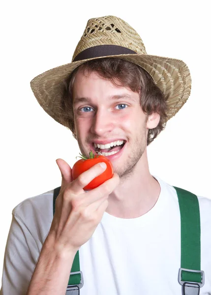 Gardener Bites His Tomato — Stock Photo, Image