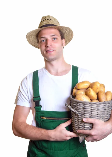 Jardinier Amical Vient Récolter Panier Plein Pommes Terre Fraîches — Photo