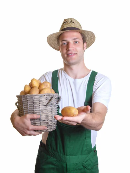 Jardinero Amistoso Con Satisfacción Sus Patatas Recién Cosechadas —  Fotos de Stock