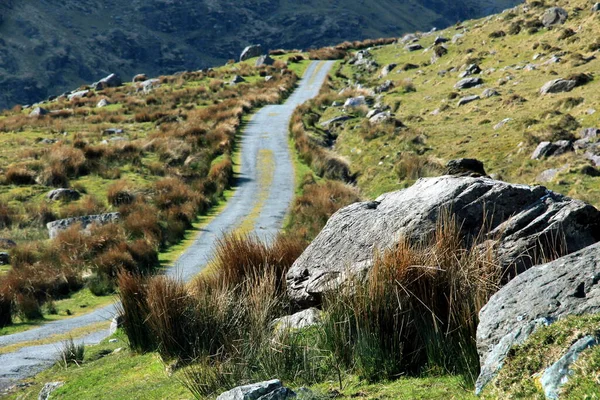 Passe Salto Padre Rua Cereja Irlanda — Fotografia de Stock