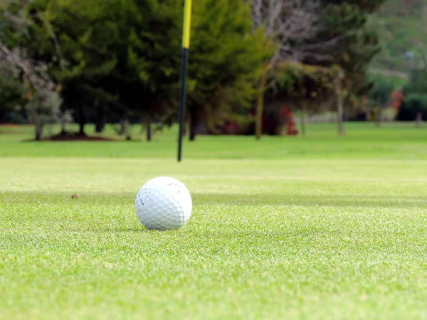 Golfe Esporte Clube Bola Que Jogadores Usam Vários Clubes Para — Fotografia de Stock