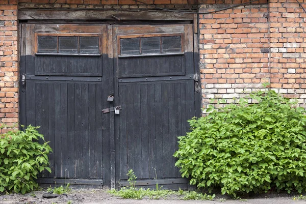 Vecchie Porte Abbandonate Garage Legno Ricoperte Piante — Foto Stock