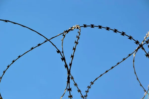 Barbed Wire Field — Stock Photo, Image