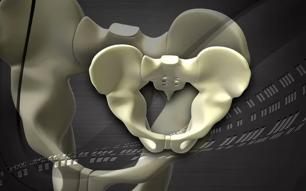 Digitale Illustration Des Beckengürtels Farbigen Hintergrund — Stockfoto