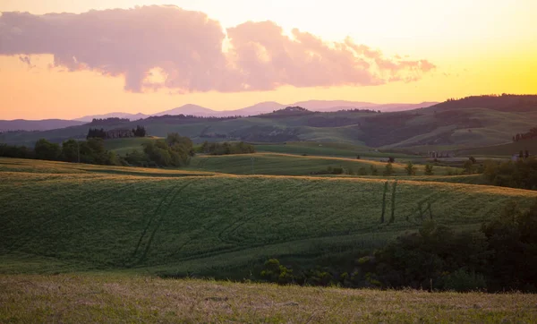 Panoramautsikt Över Himmel Och Fält Toscana Landskap Färgad Den Nedgående — Stockfoto