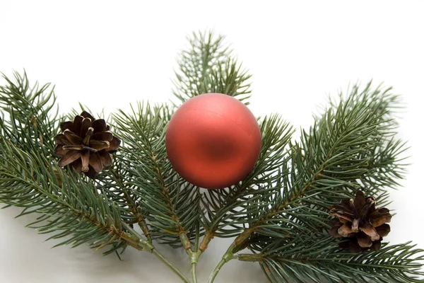 Bola Natal Com Pinecone — Fotografia de Stock