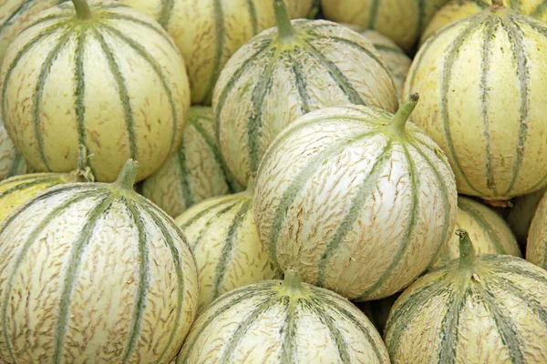 Cantaloup Melons Marché Des Légumes — Photo
