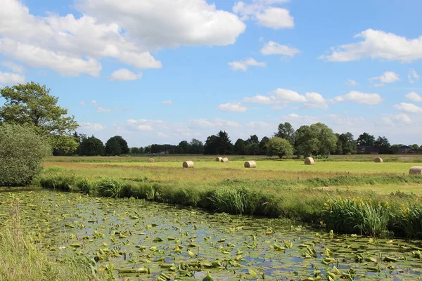 Ostfriesische Strandinsel — Stockfoto