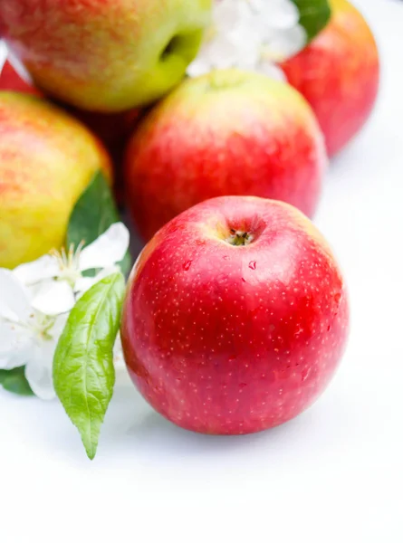 Rote Äpfel Und Apfelblüten Komposition Auf Weißem Hintergrund — Stockfoto