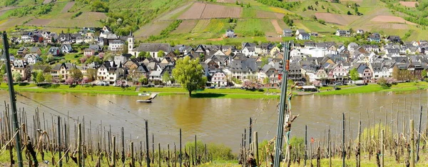 Mosel Deki Panorama Makarasında Hafif Bir Sel Var — Stok fotoğraf