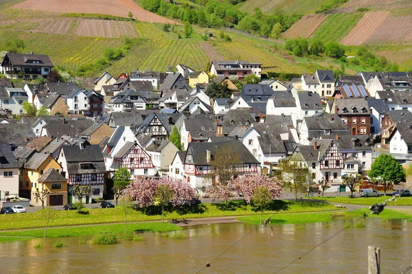 Reil Der Mosel Mit Leichtem Hochwasser — Stockfoto