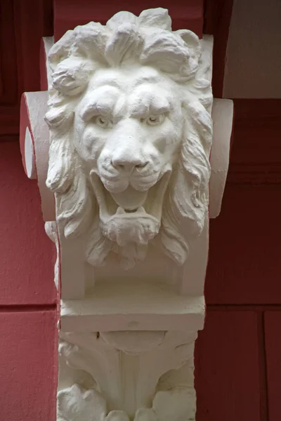 ライオンはハメルの家で — ストック写真