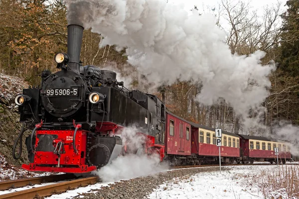 冬季小型铁路Selketalbahn — 图库照片