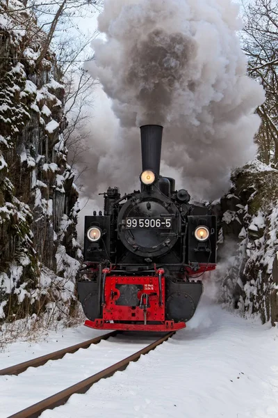 Harz Selketalbahn Scartamento Stretto Inverno — Foto Stock