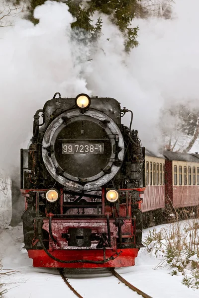 Harz Selketalbahn Scartamento Stretto — Foto Stock