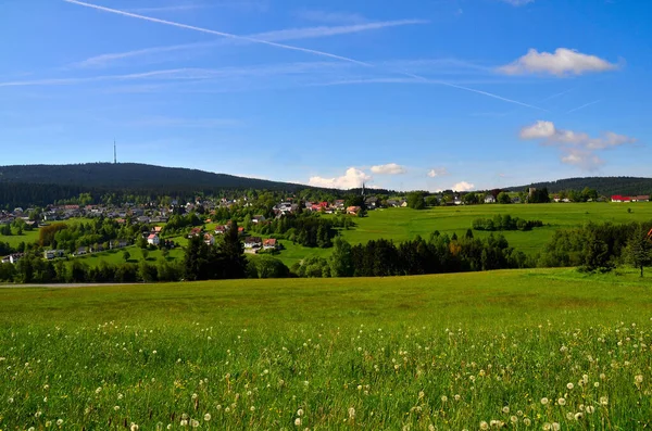 Uitzicht Prachtige Groene Weide — Stockfoto