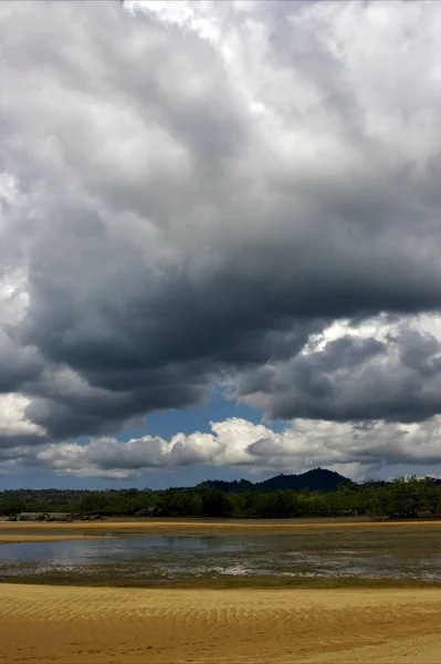 曇った雨の川ヤシの岩の枝の丘のラグーンとマダガスカルのうるさい海岸線 — ストック写真