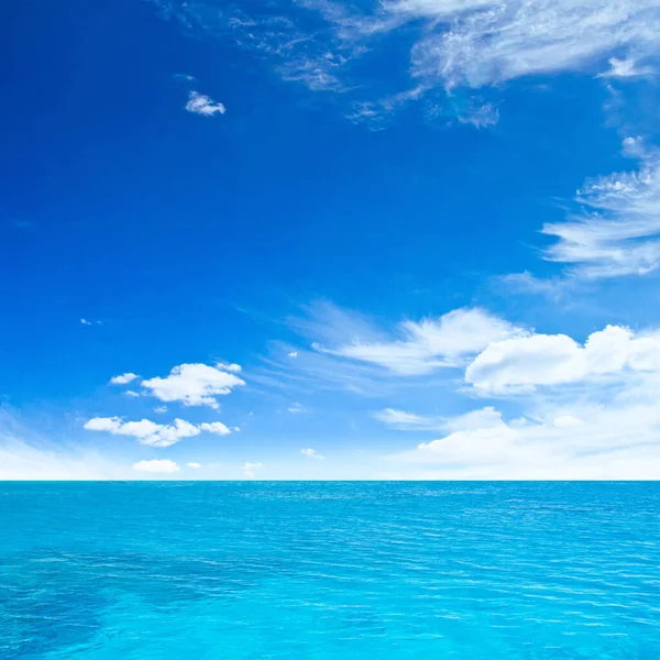 Festői Kilátás Gyönyörű Óceán Tengerfenék — Stock Fotó