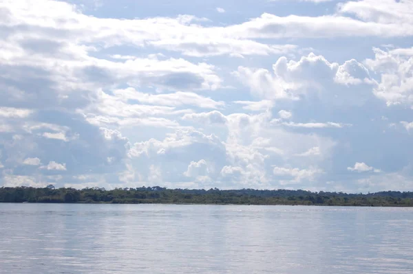 Paisagem Rio Amazonas Fundo — Fotografia de Stock