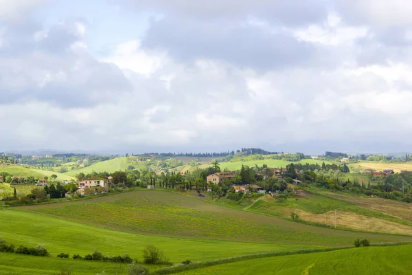 Typisch Toscaans Landschap Lente — Stockfoto