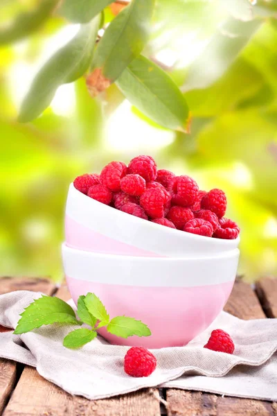 Raspberries Small Bowl Garden — Stock Photo, Image