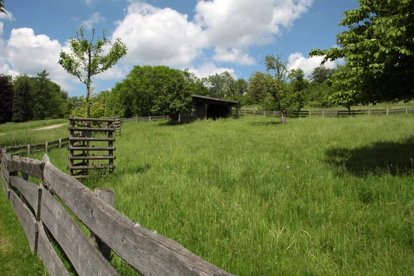 Personal Landskap Park Lemgo — Stockfoto