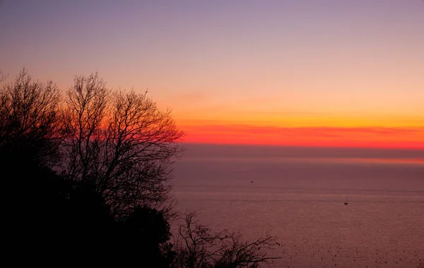 Vue Sur Arbre Coucher Soleil Mer Trieste — Photo