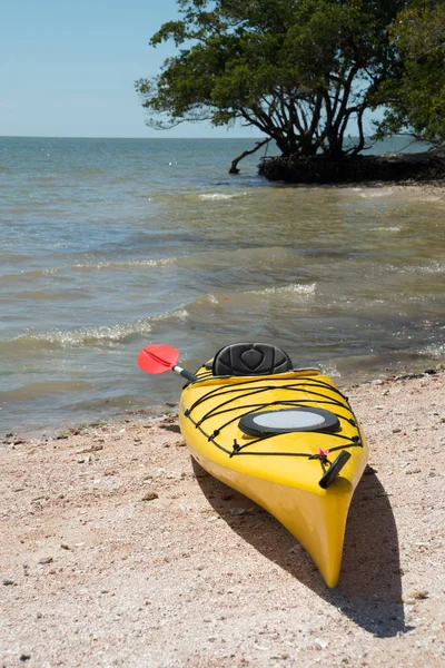 Kayak Dans Les Everglades Dans Les Dix Mille Îles Floride — Photo