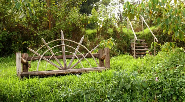 Vieja Vendimia Madera Colgada Gran Árbol Jardín Con Césped Verde