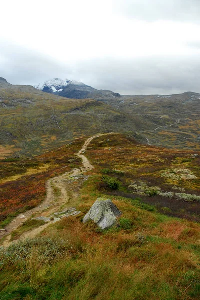 Norwegia Tle Krajobrazu — Zdjęcie stockowe