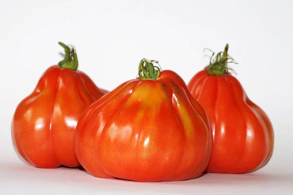 鲜红色有机西红柿 — 图库照片