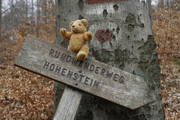 Značka Medvídkem Kruhová Stezka Hohenstein Weserbergland — Stock fotografie