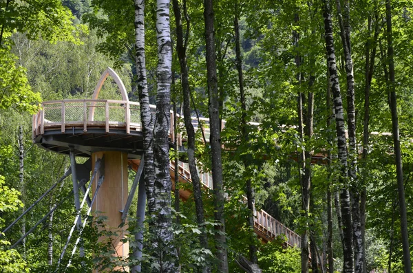 Pittoresk Uitzicht Natuur — Stockfoto