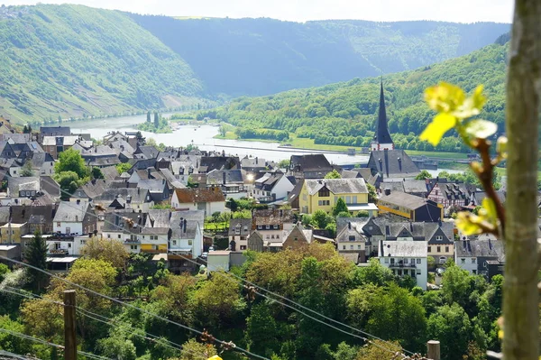 Enkirch Moselle Spring — 图库照片