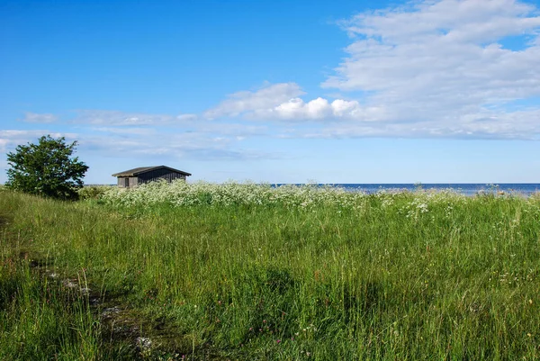 Pohled Cestu Podél Pobřeží Baltského Moře Ostrově Oland Švédsku — Stock fotografie