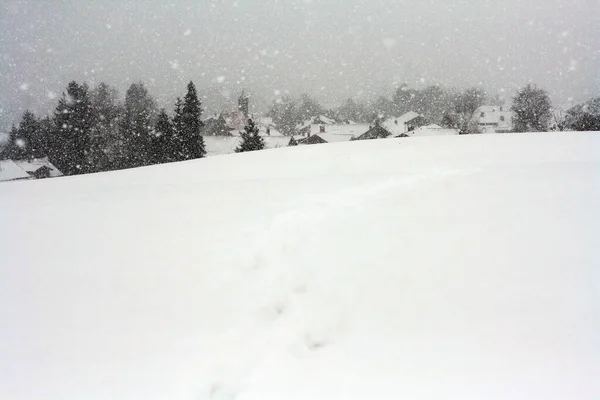 Сильный Снегопад Баварии — стоковое фото