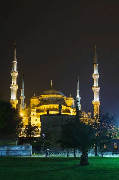 Sultan Ahmed Mosque Blue Mosque Istanbul Night Time — Stock Photo, Image