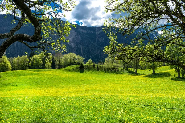 Vista Panoramica Bellissimo Paesaggio Alpino — Foto Stock